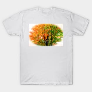 Leaves Changing Colors T-Shirt